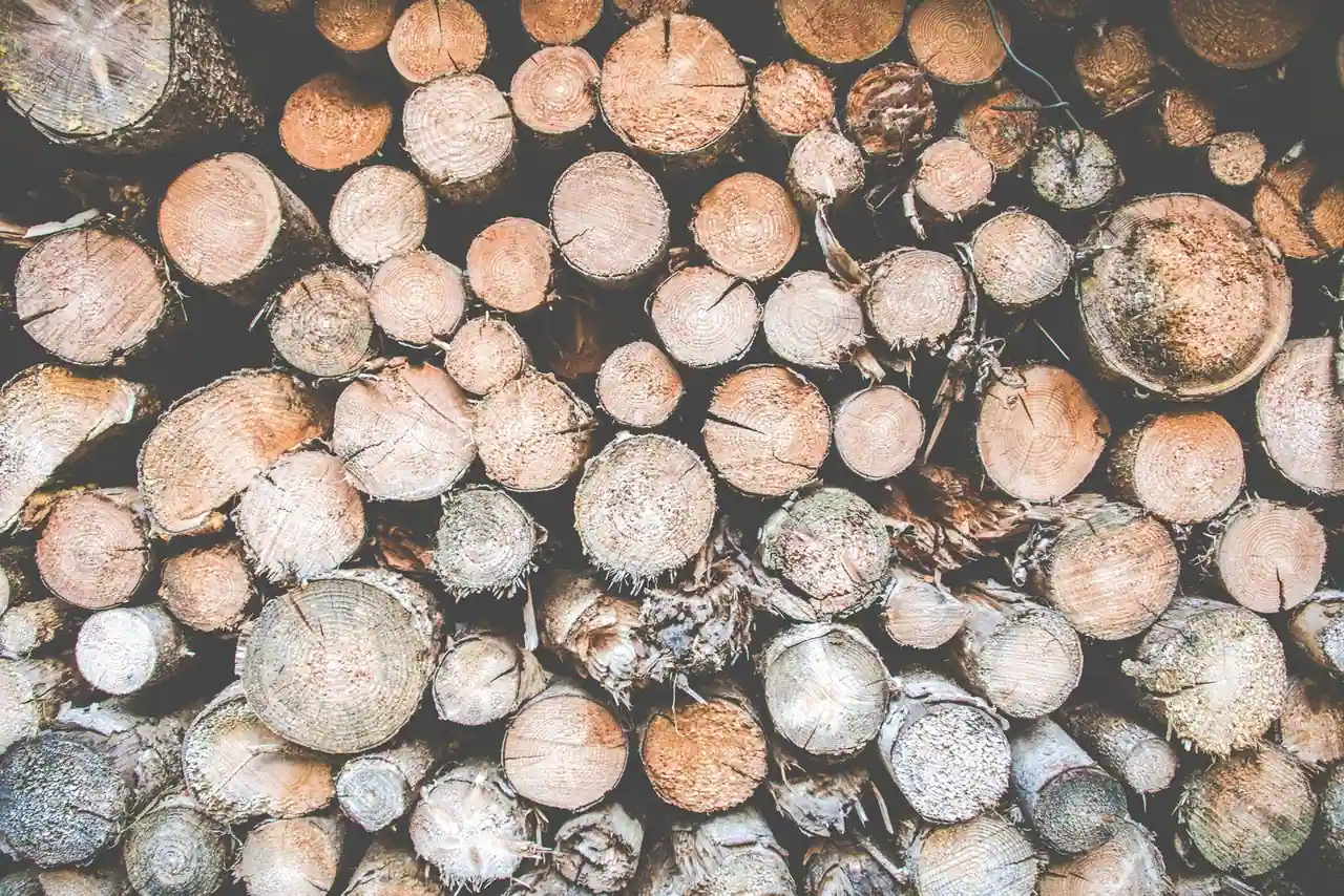 Tas de rondins de bois coupés et empilés, vus en bout, illustrant le bois issu de la forêt